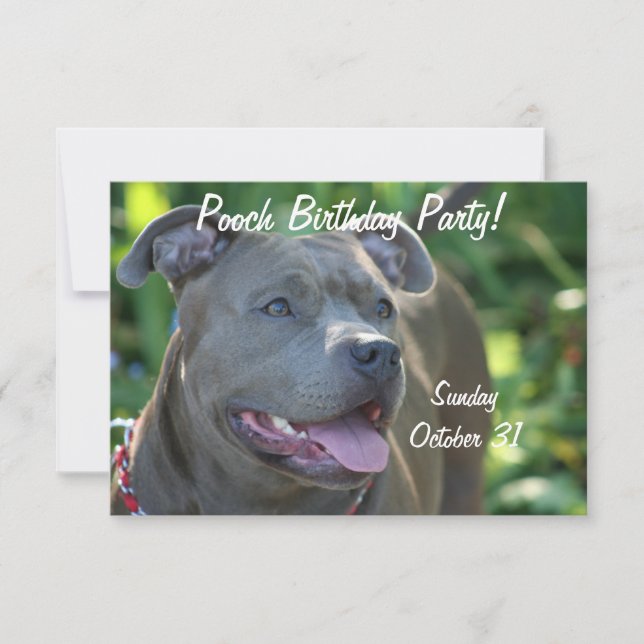 Pitbull dog invitation (Front)