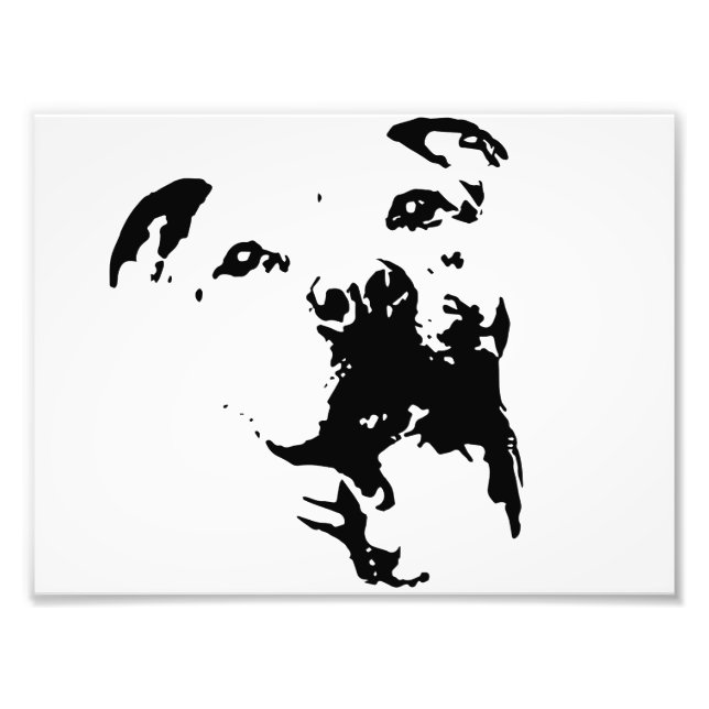Pitbull Dog Photo Print (Front)