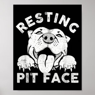 Pitbull Dog Resting Pit Face Sarcastic Humour Poster