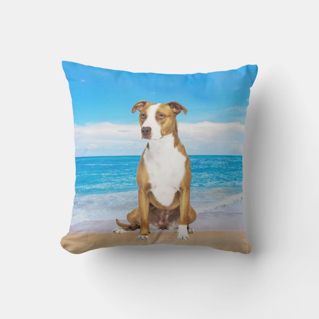 Pitbull Dog Sitting On Beach Cushion (Front)