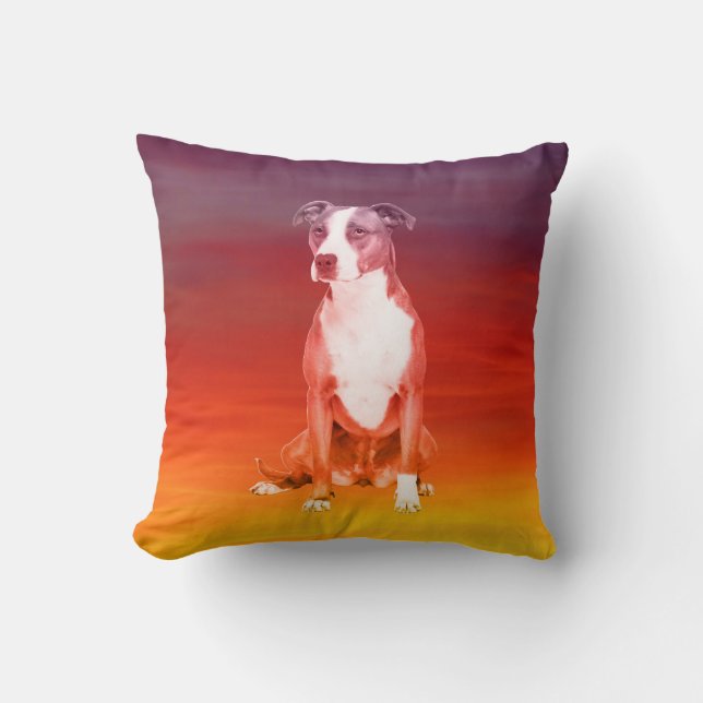 Pitbull Dog Sitting On Beach Cushion (Front)