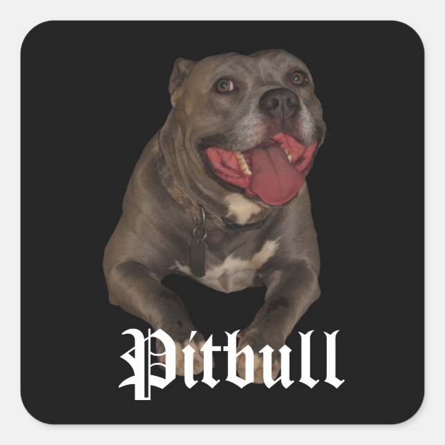 Pitbull Dog Stickers (Front)