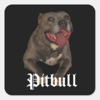 Pitbull Dog Stickers