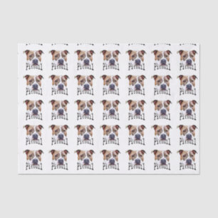 Pitbull dog tissue paper