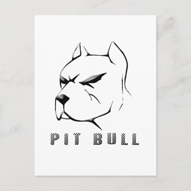 Pitbull draw postcard (Front)