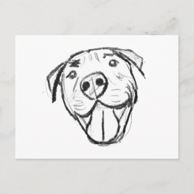 pitbull drawing simple dog lovers black white postcard (Front)