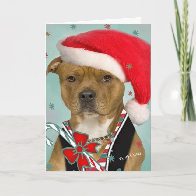 Pitbull Dresses for Santa Holiday Card (Front)