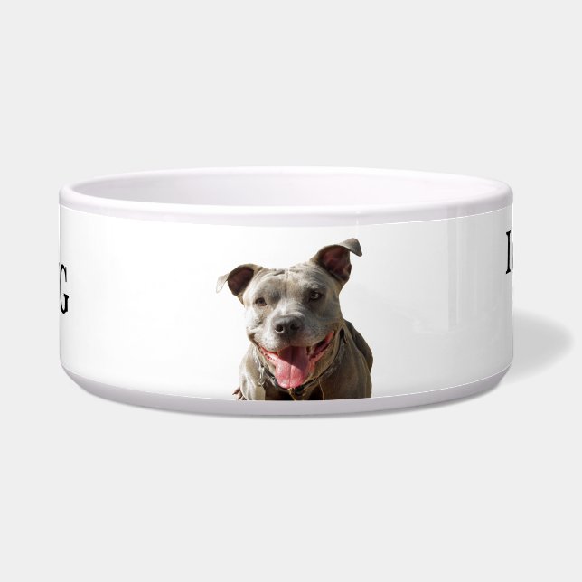 Pitbull Drool Warning Dog Bowl (Front)