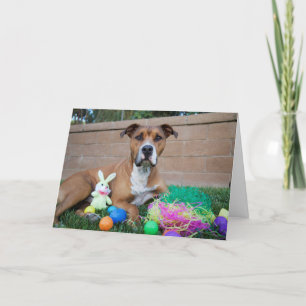 Pitbull Easter Card