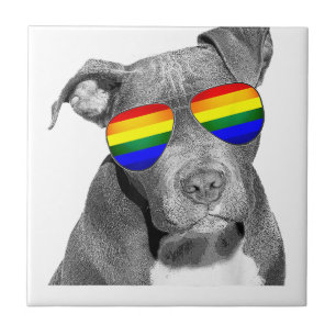 Pitbull Gay Pride Dog Clothing LGBT Funny Gift Rai Tile