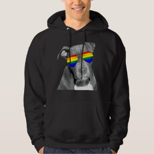 Pitbull Gay Pride Dog Clothing Lgbt Rainbow Flag Hoodie
