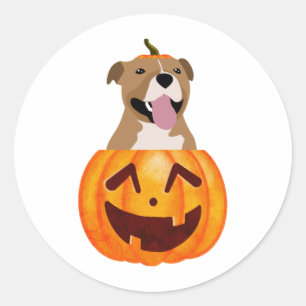 Pitbull Halloween Classic Round Sticker