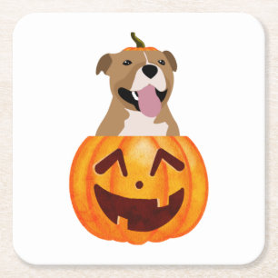 Pitbull Halloween   Square Paper Coaster
