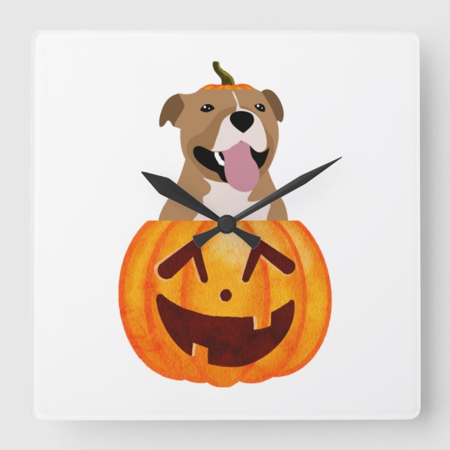 Pitbull Halloween   Square Wall Clock (Front)