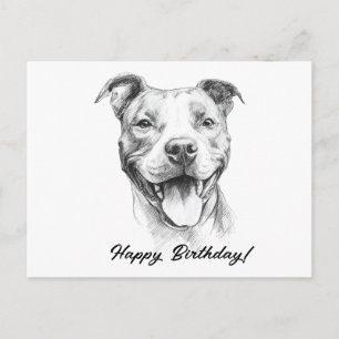 Pitbull Hand Draw Black and White Birthday Card