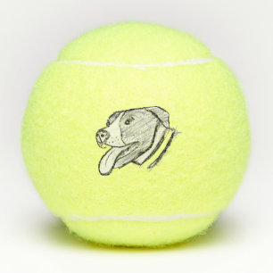 pitbull hand drawn photo dog animal lover tennis balls