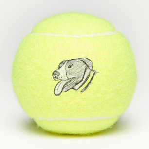 pitbull hand drawn photo dog animal lover tennis balls