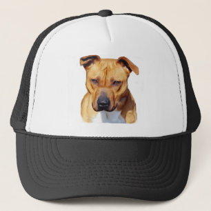 Pitbull hat