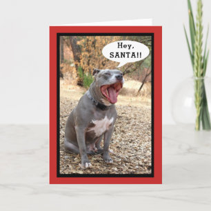 Pitbull Hey Santa Christmas Card