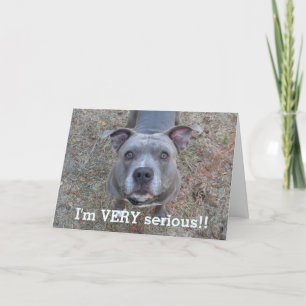 Pitbull I'm Serious Father's Day Card