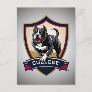 Pitbull in college: Logo Postcard