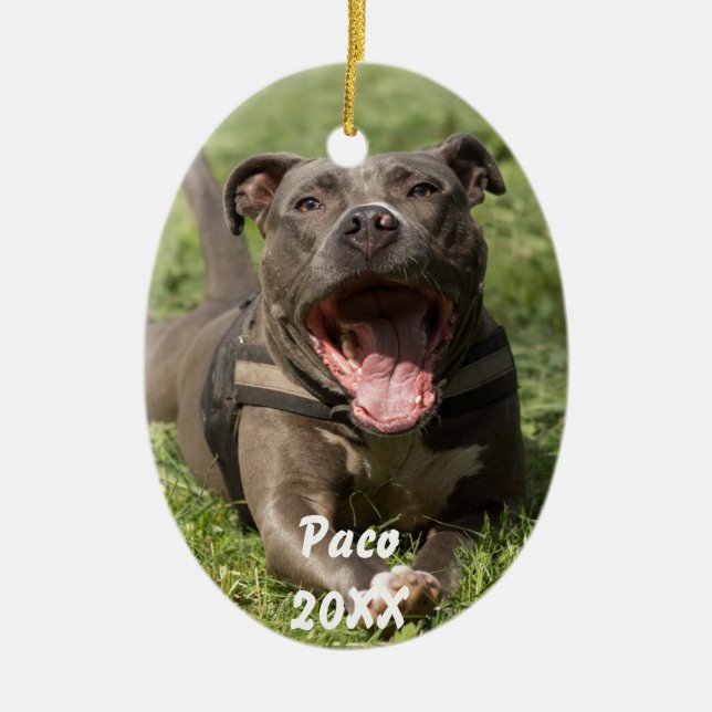 Pitbull In Grass Ceramic Tree Decoration (Front)