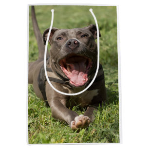 Pitbull In the Grass Editable Photo Medium Gift Bag