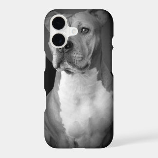Pitbull iPhone Case