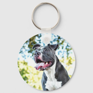 Pitbull Key Ring