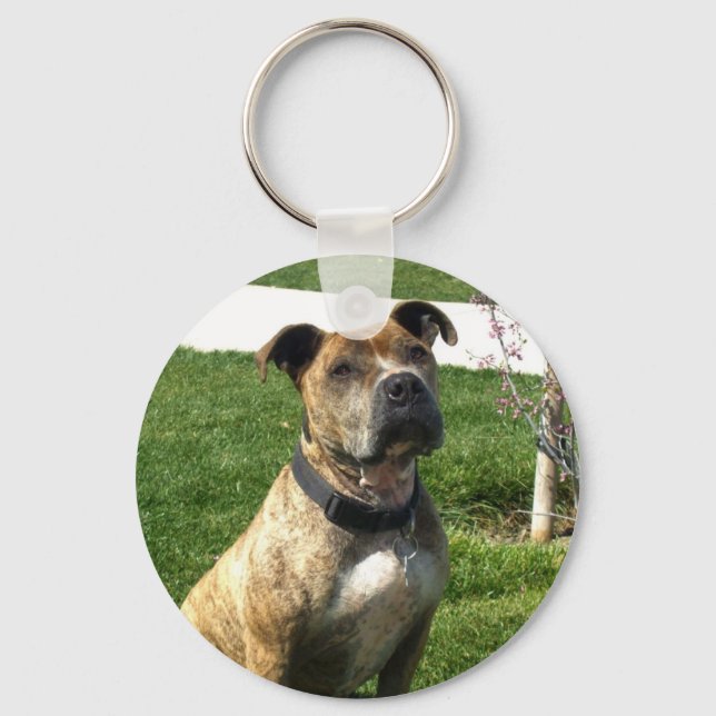 Pitbull keychain (Front)