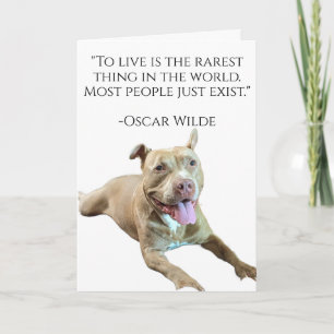 Pitbull Love Birthday Card