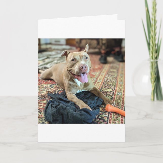 Pitbull Love Card (Front)
