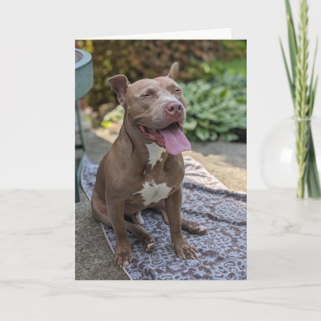 Pitbull Love Card (Front)