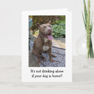 Pitbull Love Funny Card