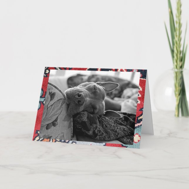 Pitbull Love Greeting Thank You Card (Front)