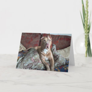 Pitbull Love Thank You Card