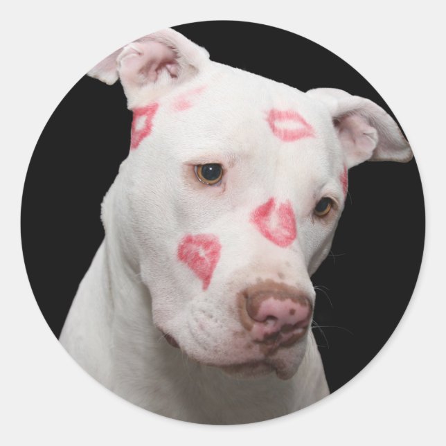 Pitbull Lover Classic Round Sticker (Front)
