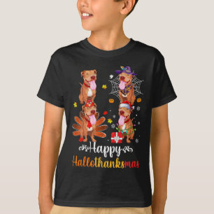 Pitbull Lover Halloween Merry Christmas Happy Hall T-Shirt