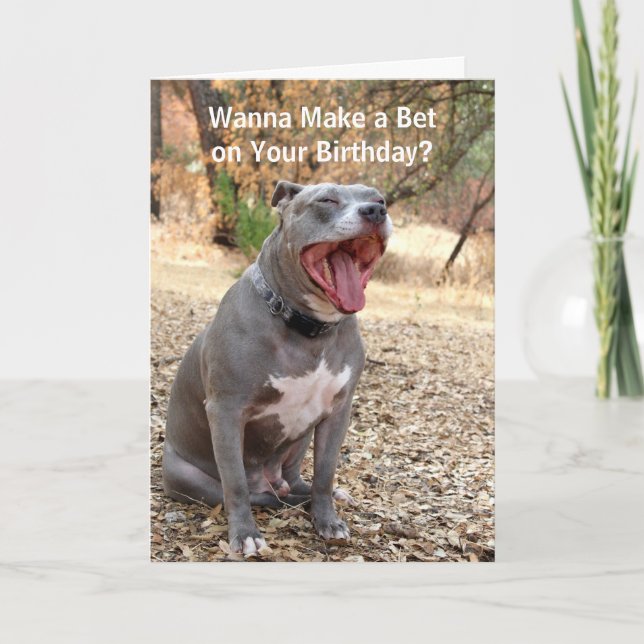 Pitbull Make a Bet Birthday Card (Front)