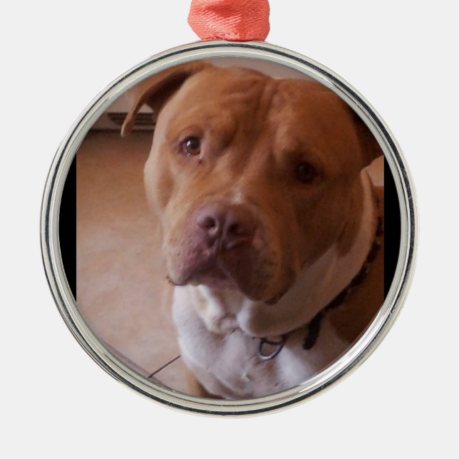 pitbull metal tree decoration (Front)