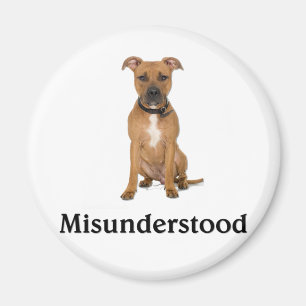 Pitbull - Misunderstood Magnet