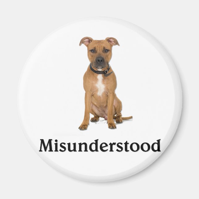 Pitbull - Misunderstood Magnet (Front)