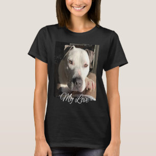 Pitbull My Love Gorgeous Handsome Pittie T-Shirt