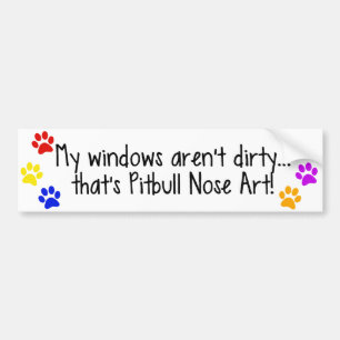 Pitbull Nose Art Dirty Windows Bumper Sticker