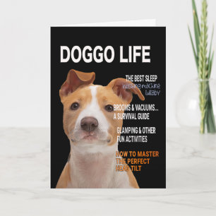 Pitbull Parody Magazine Cover Card