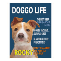 Pitbull Parody Magazine Cover 