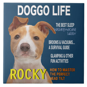 Pitbull Parody Magazine Cover Tile