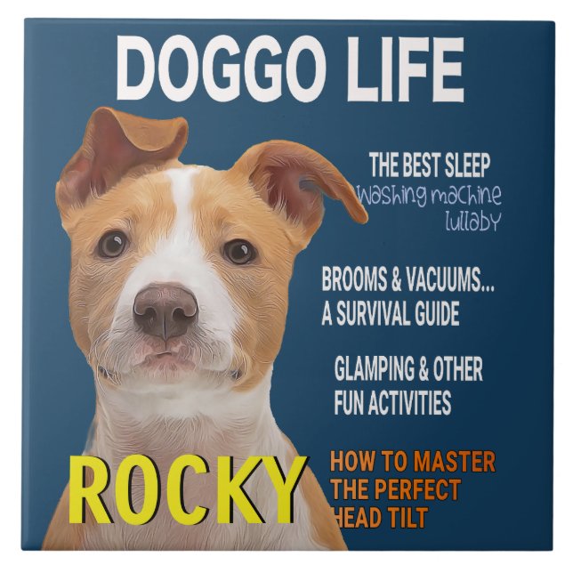 Pitbull Parody Magazine Cover Tile (Front)