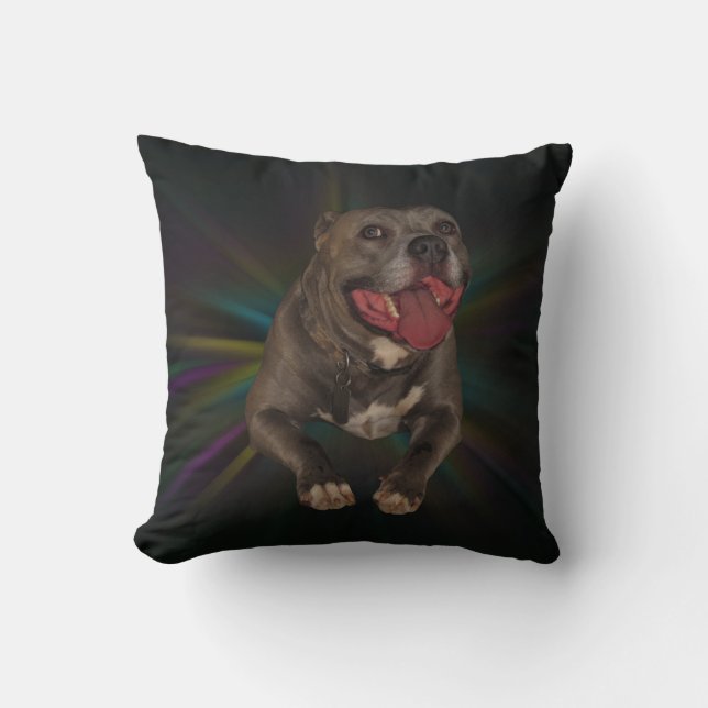 Pitbull Pillow (Front)