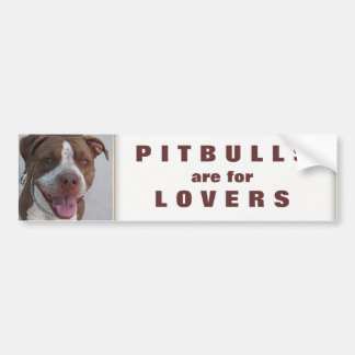 Pitbull Play With Me Bumper Sticker